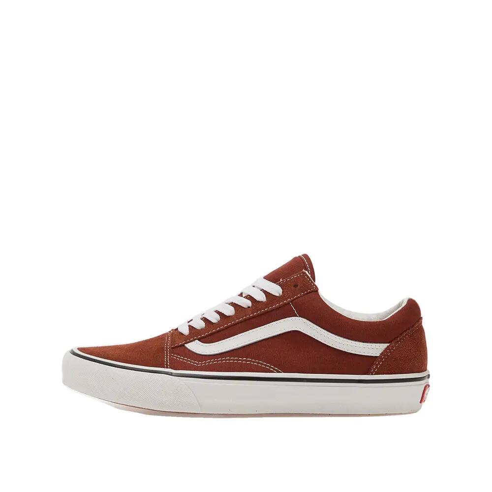 VANS picture