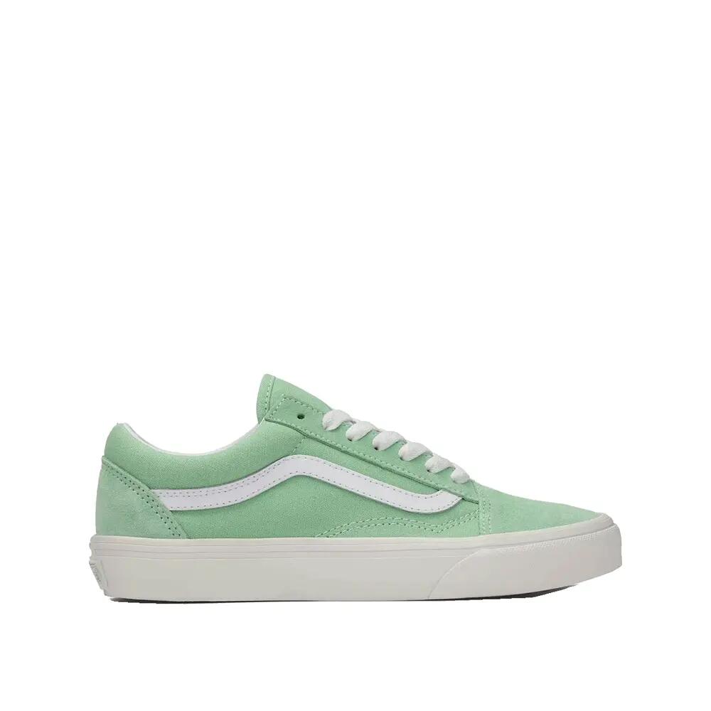 VANS picture