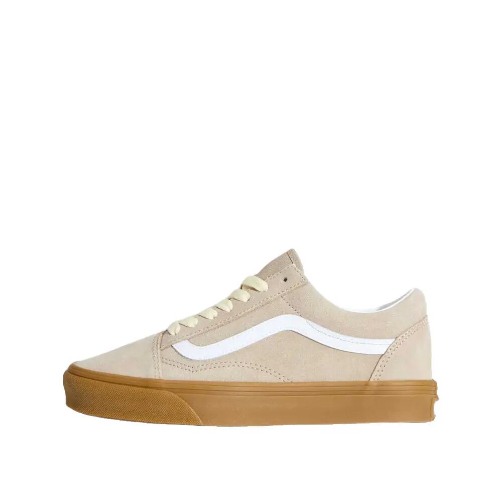 VANS picture