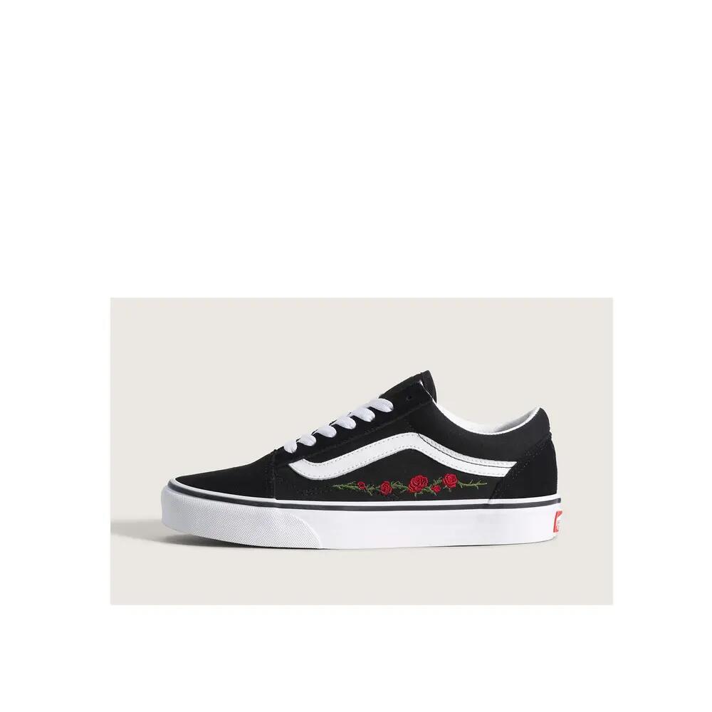 VANS picture