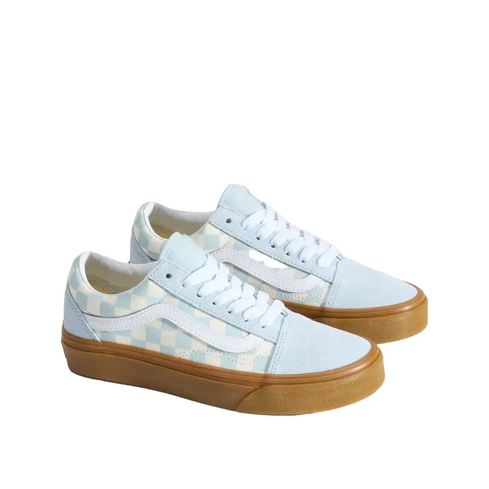 VANS picture
