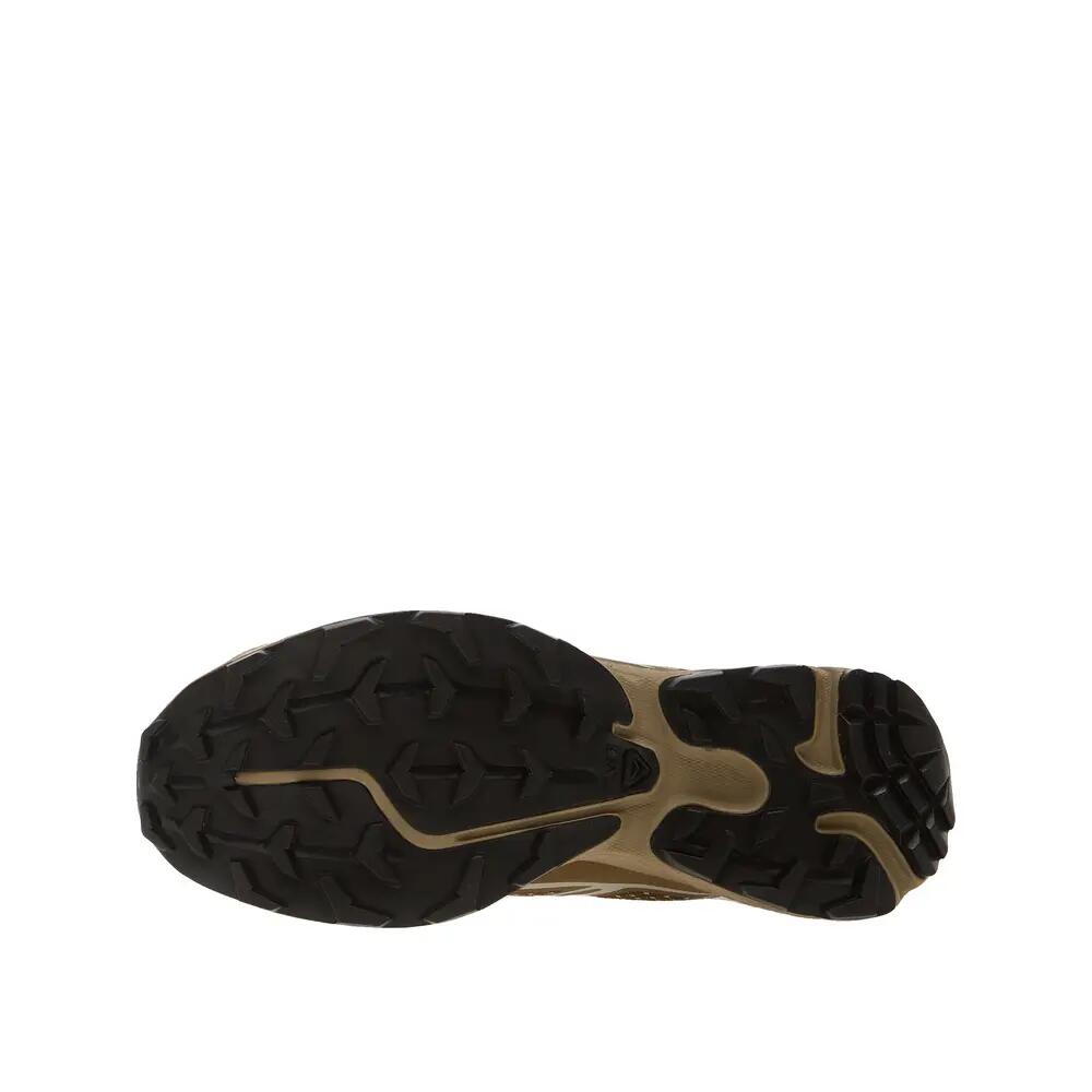 SALOMON picture