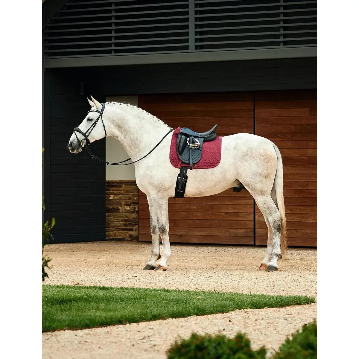Tapis de dressage pour cheval Weatherbeeta Elite Air-Tec 5/5