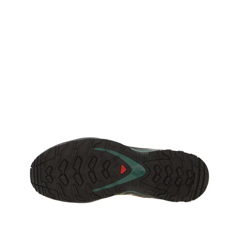 Scarpe da trail Salomon XA PRO 3D Argento Salvia 1/6