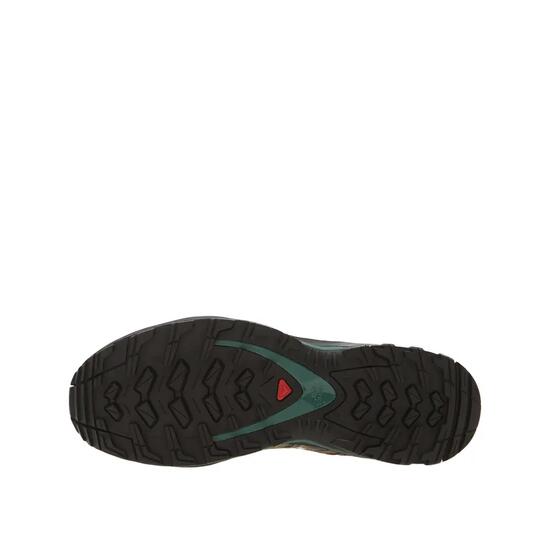Scarpe da trail Salomon XA PRO 3D Argento Salvia