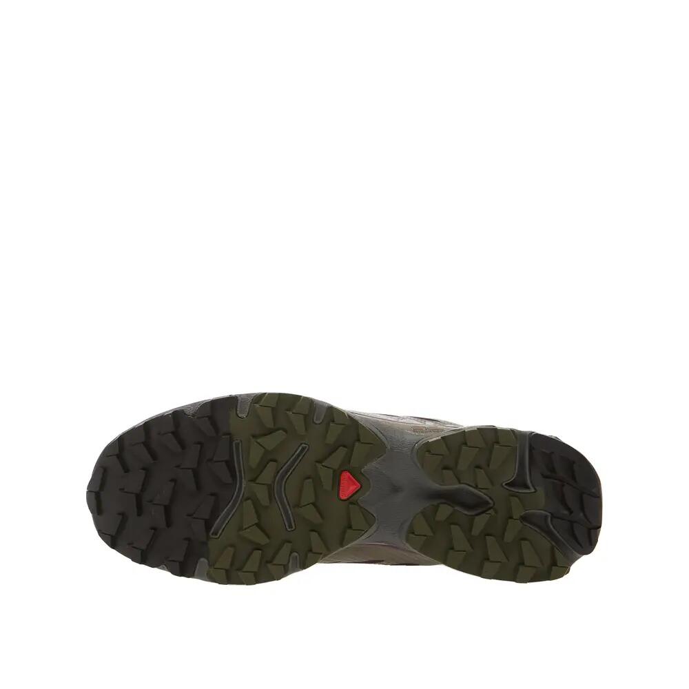 SALOMON picture