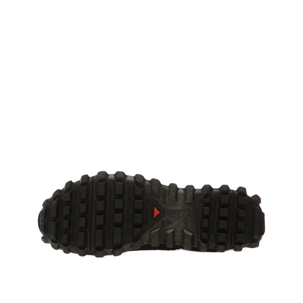 SALOMON picture