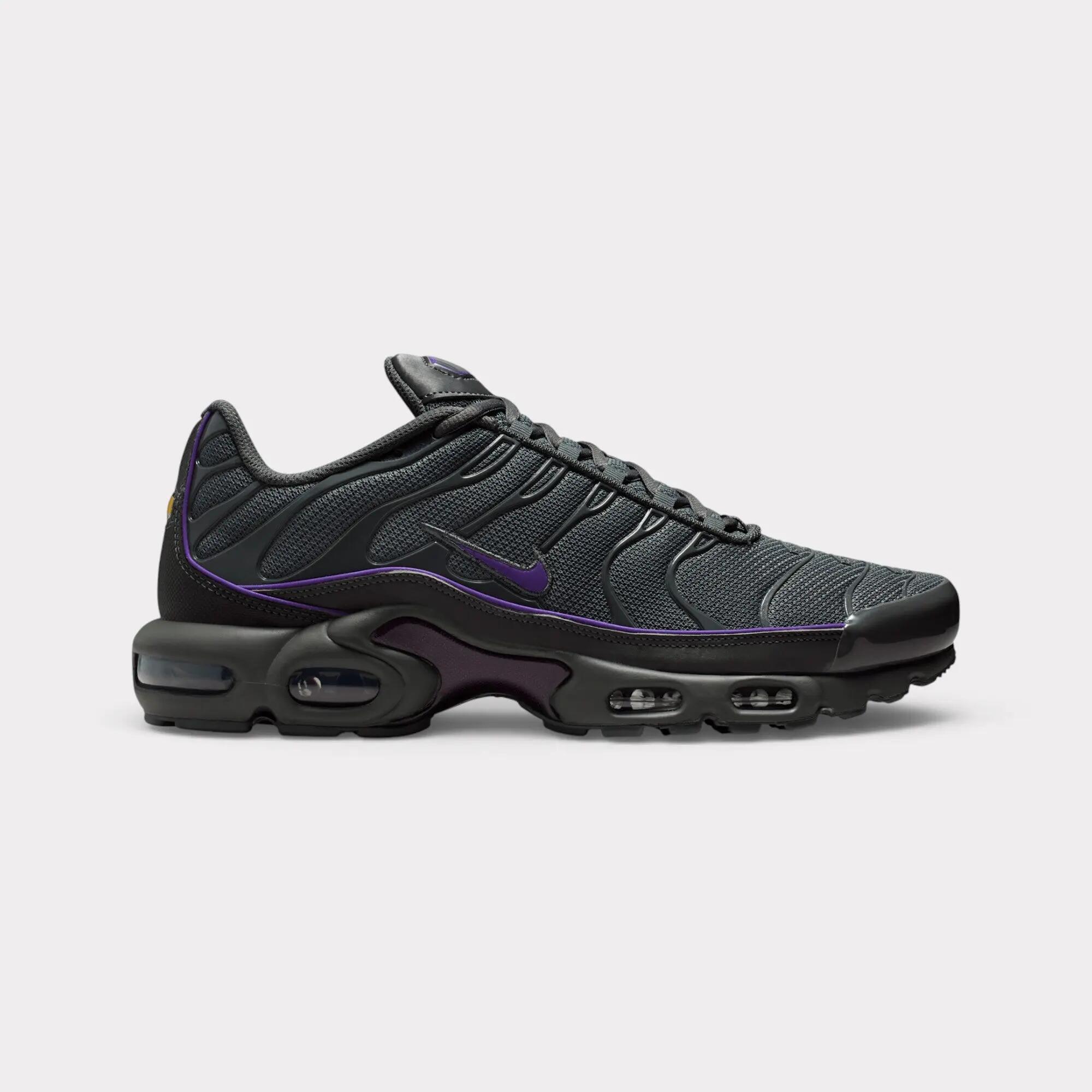 Nike Air Max Plus - Iron Grey 1/7