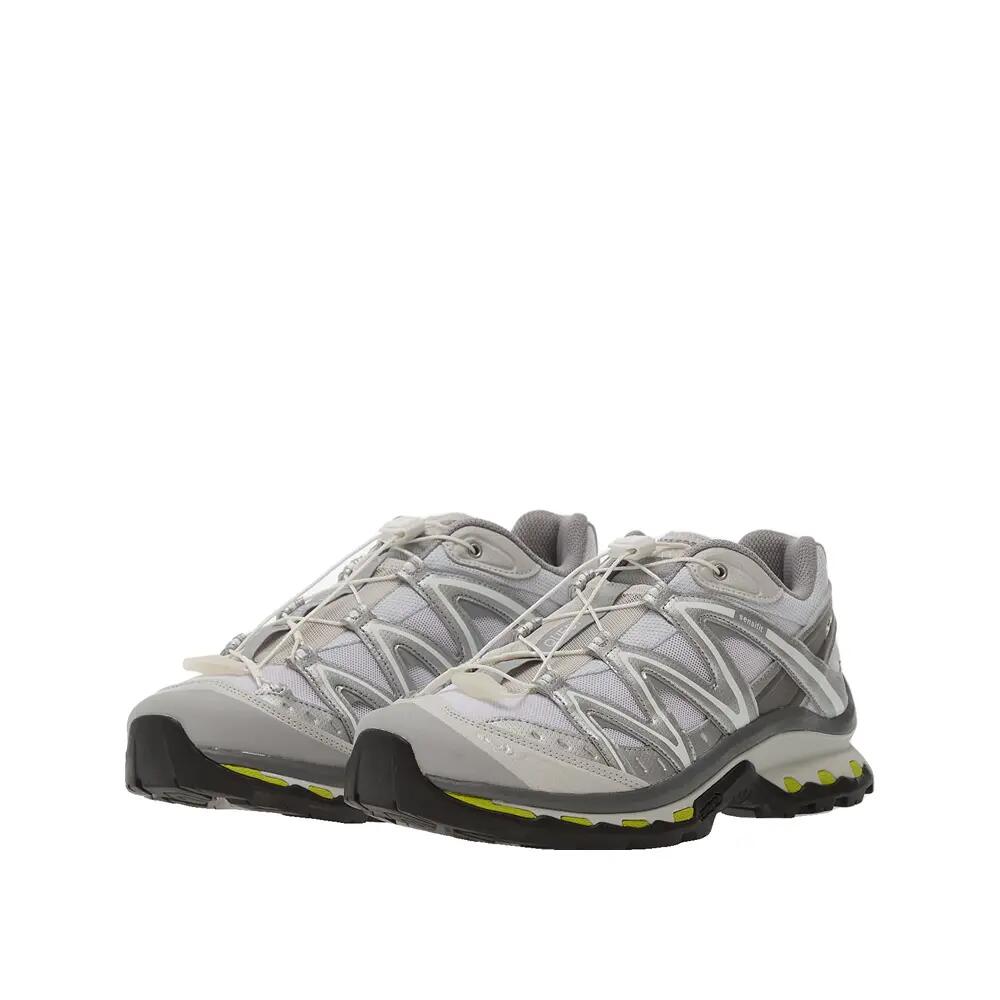 Trailrunning-Schuhe Salomon XT-Quest GTX Silber 5/6