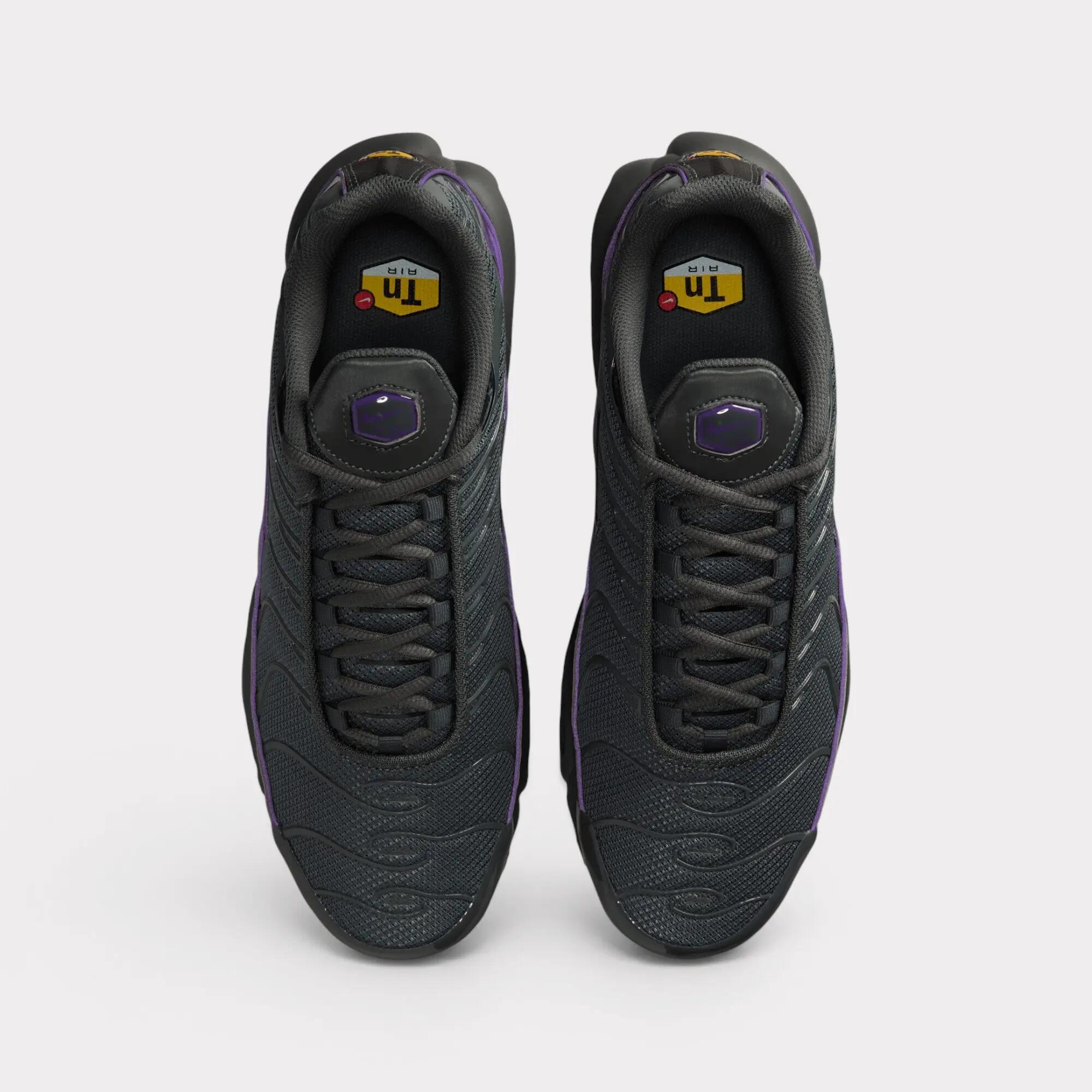 Nike Air Max Plus - Iron Grey 5/7