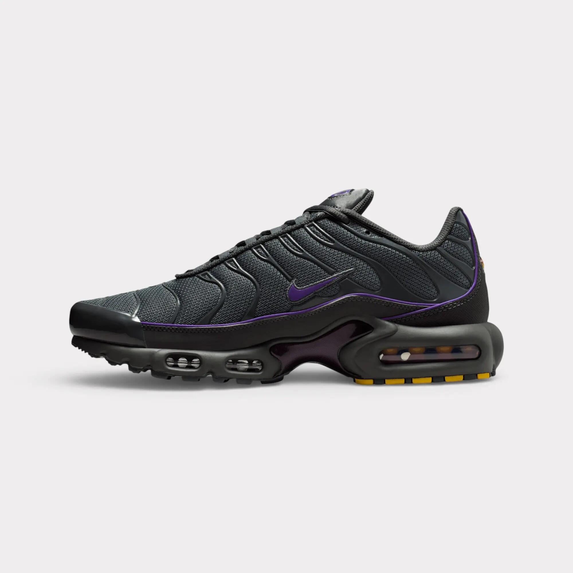 Nike Air Max Plus - Iron Grey 3/7