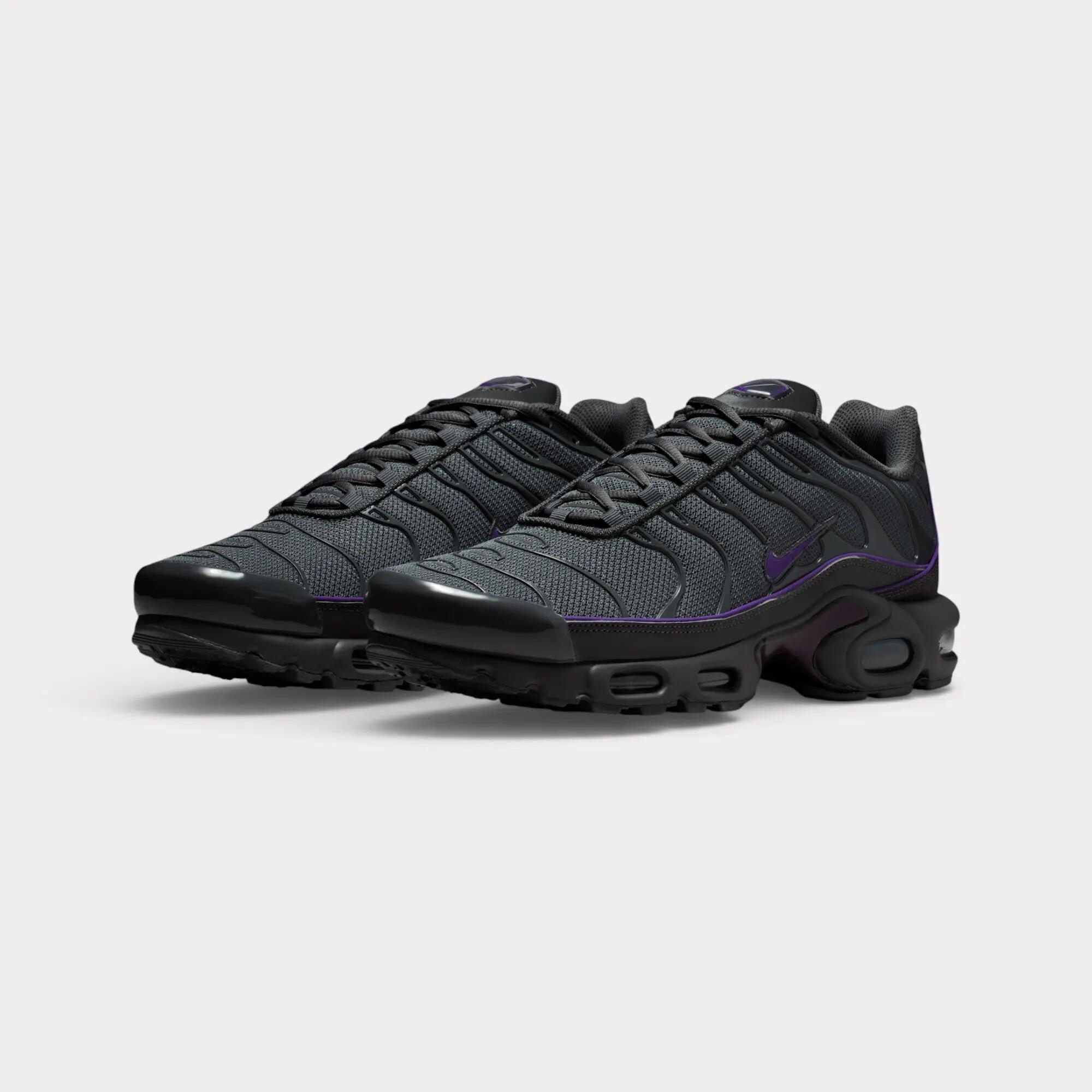 Nike Air Max Plus - Iron Grey 2/7