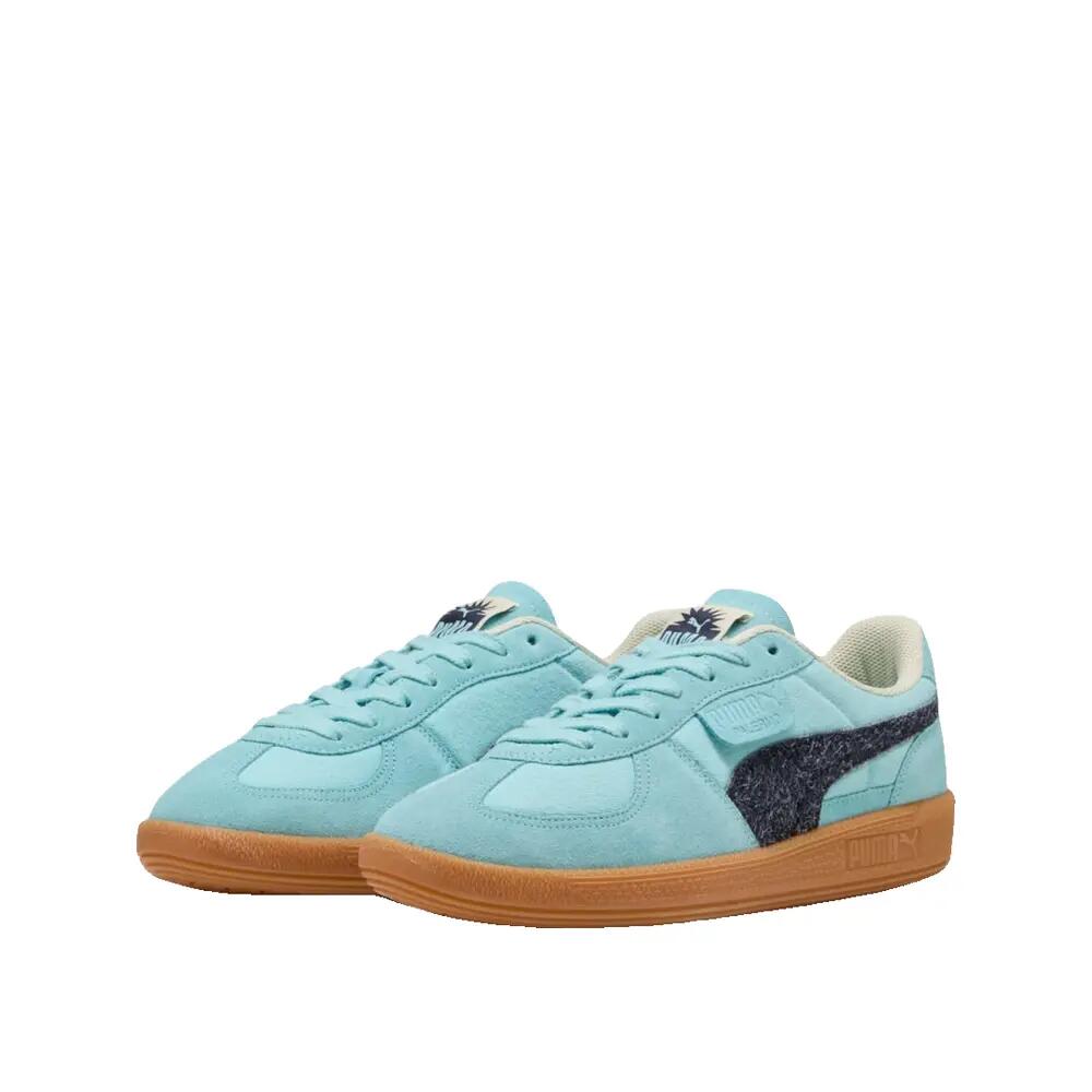 PUMA picture
