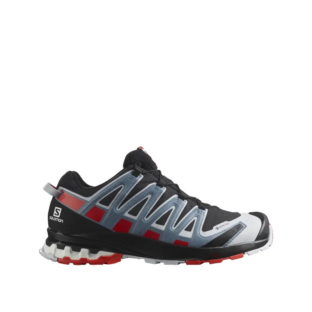 SALOMON picture