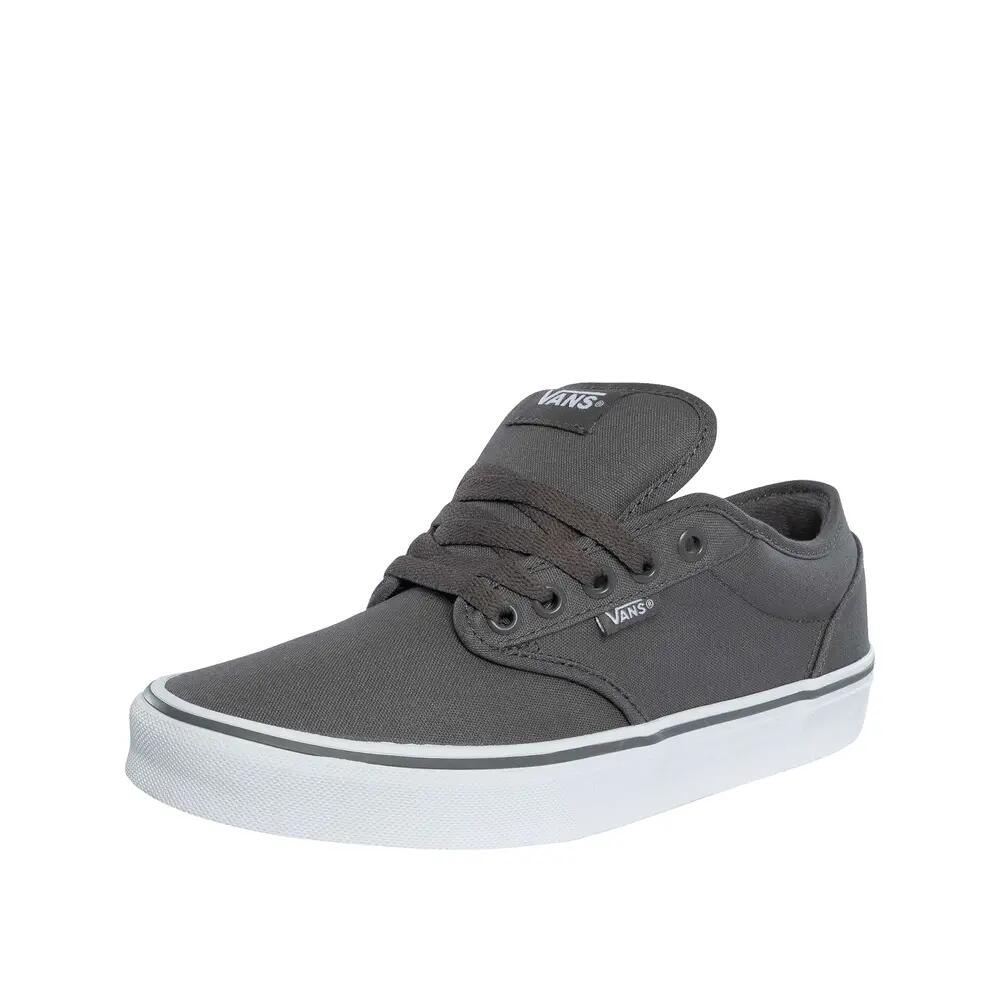 VANS picture
