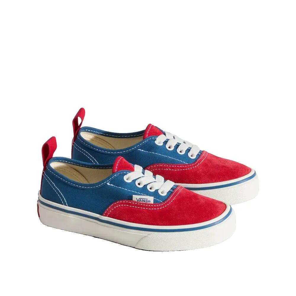 VANS picture