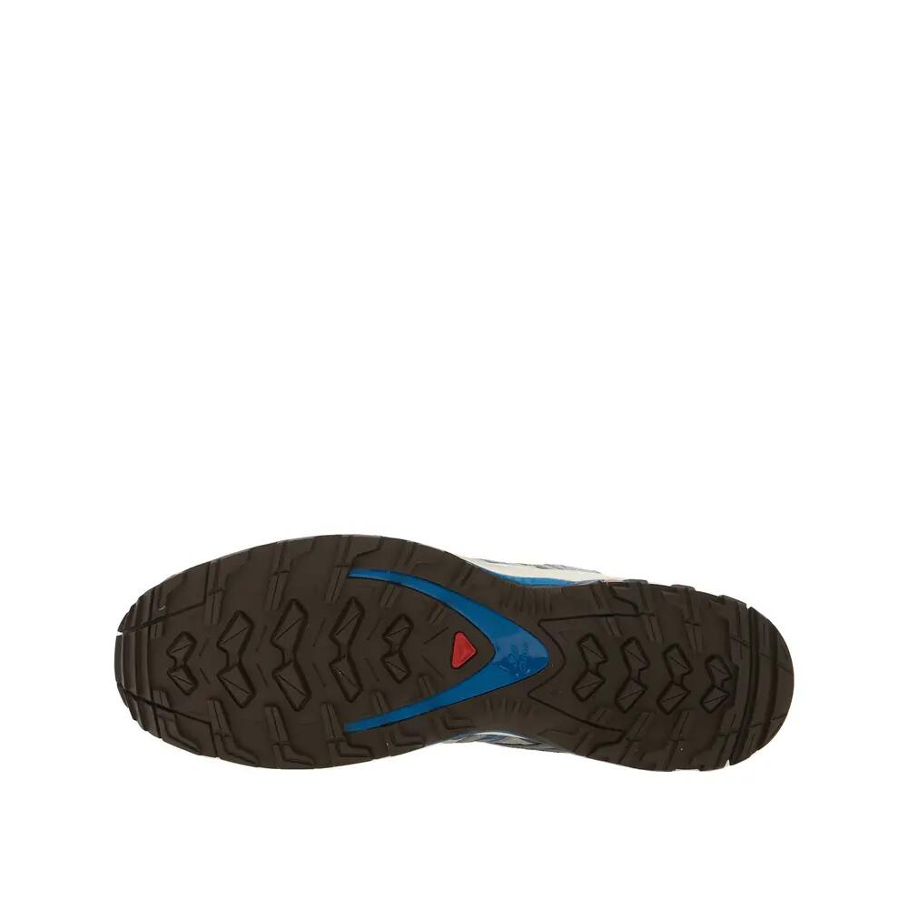 SALOMON picture