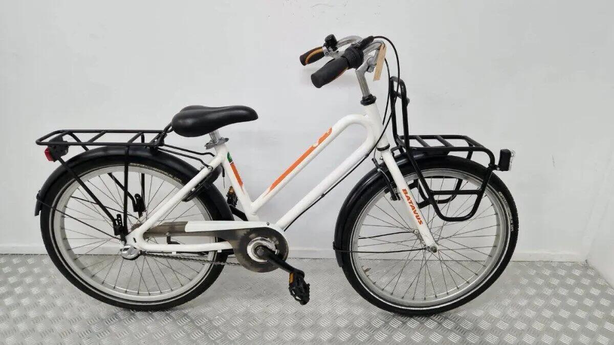 BATAVUS picture