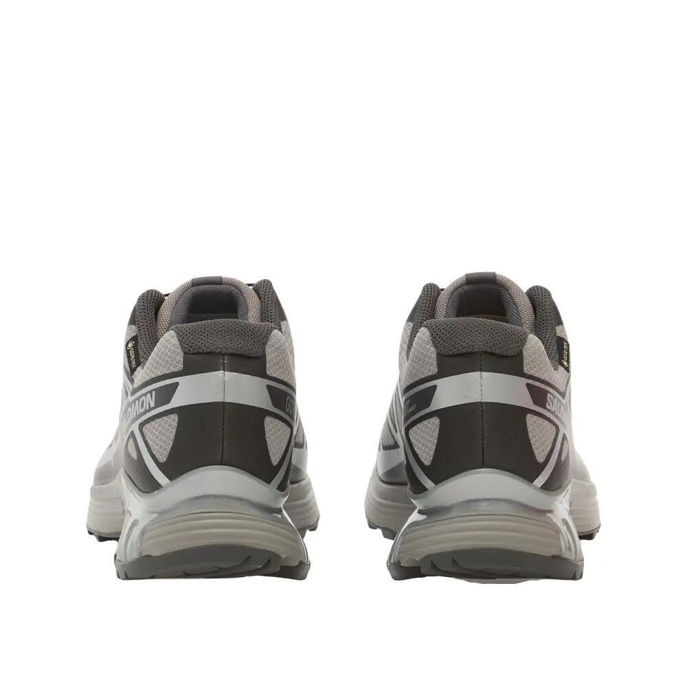 Wandel schoenen Salomon XT-PATHWAY GTX Grijs 4/6