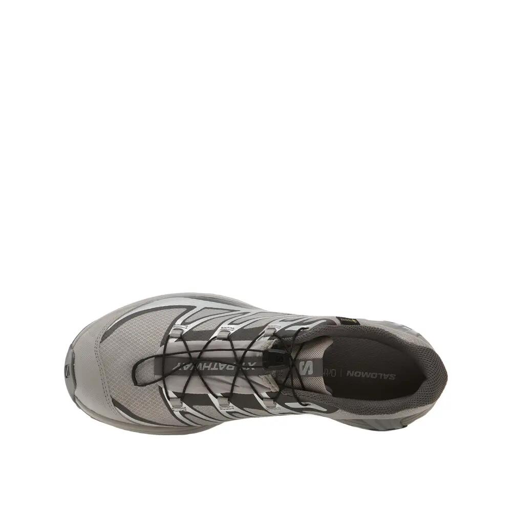Wandel schoenen Salomon XT-PATHWAY GTX Grijs 3/6