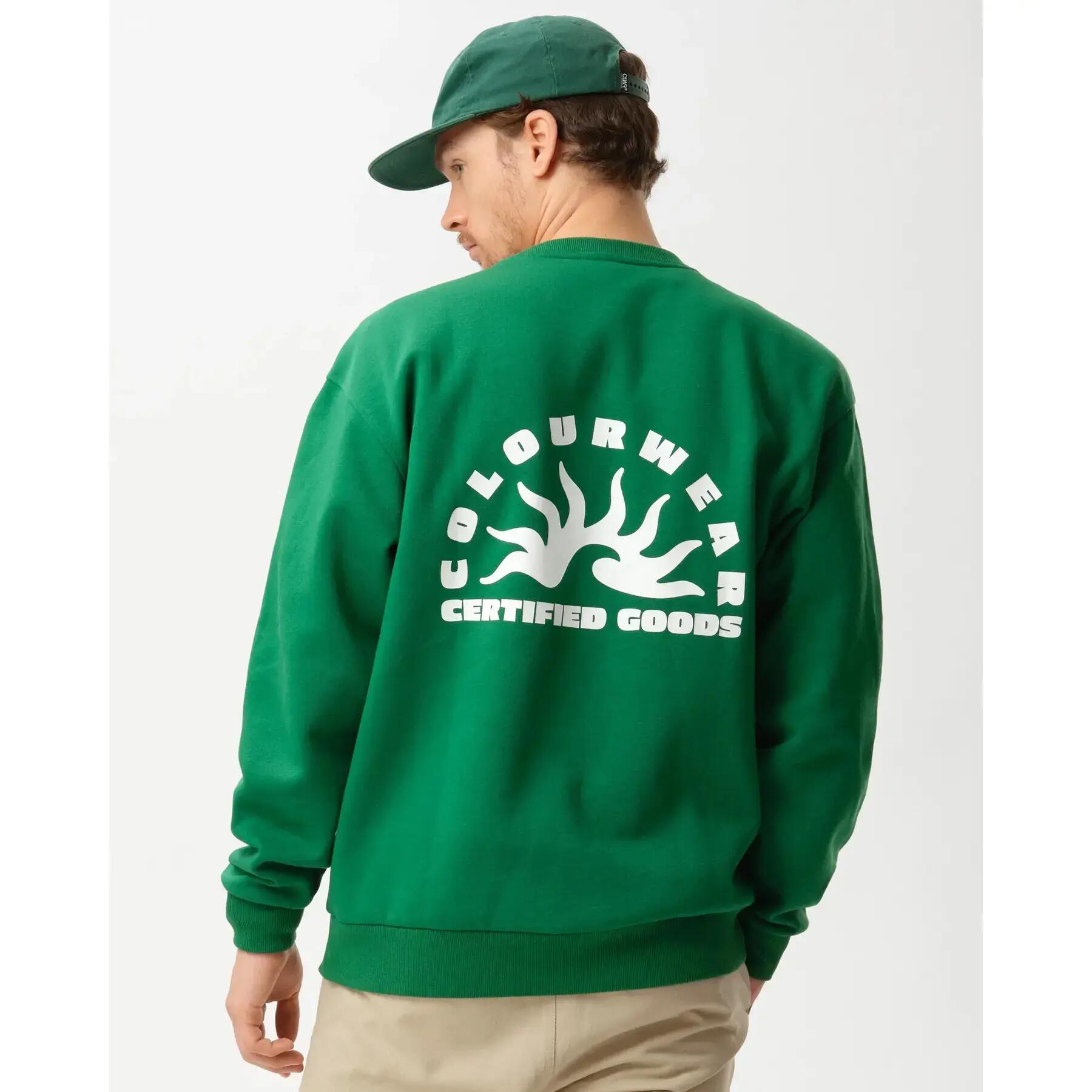 Sudadera Colourwear Da 2/2