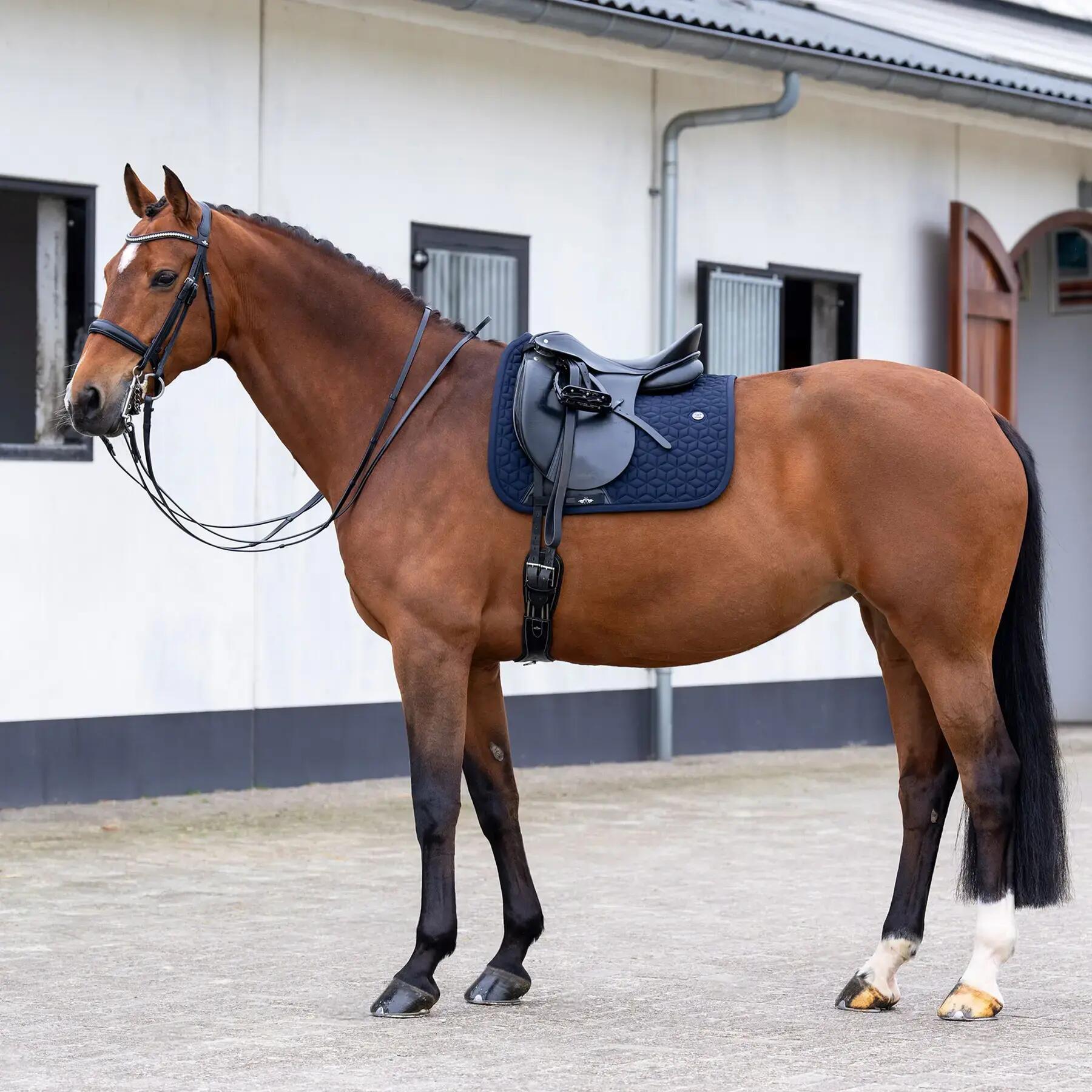Tapis de dressage pour cheval HV Polo Essential DR 2/3