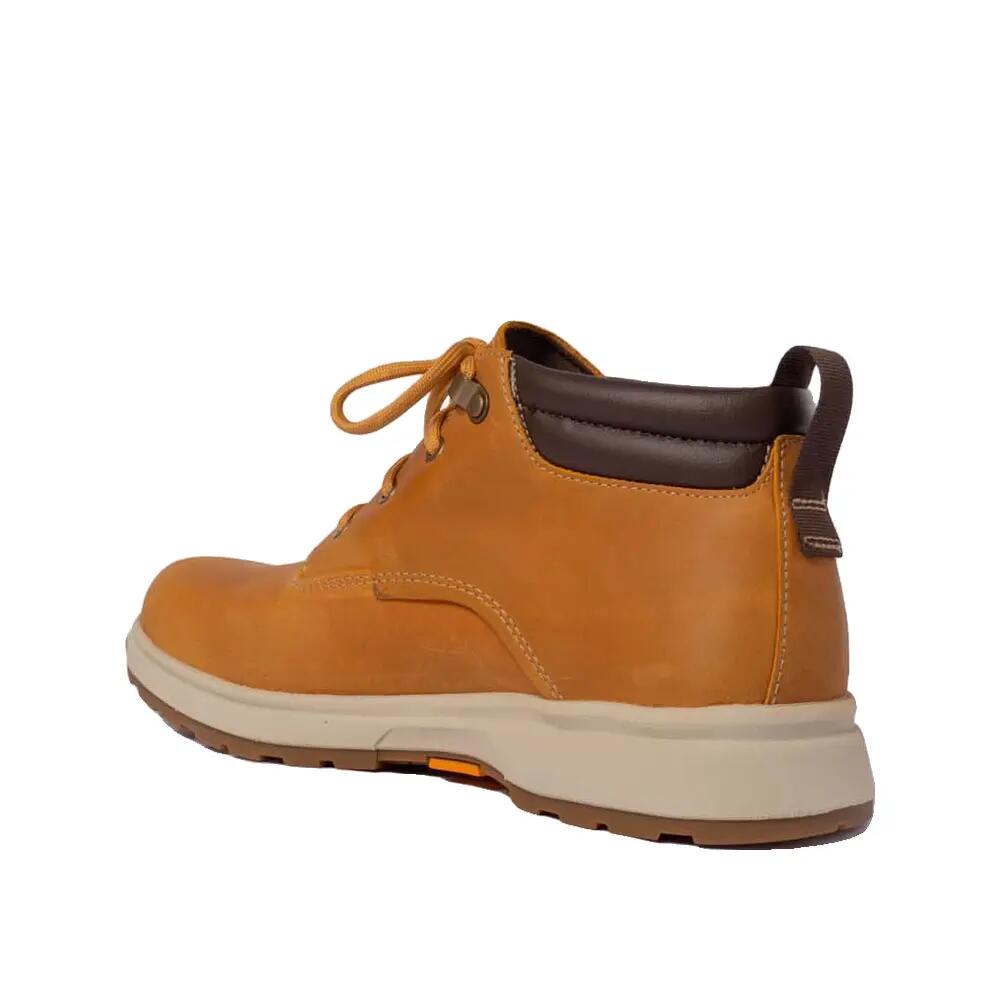 Schuhe Timberland Atwells Ave Marron 3/3