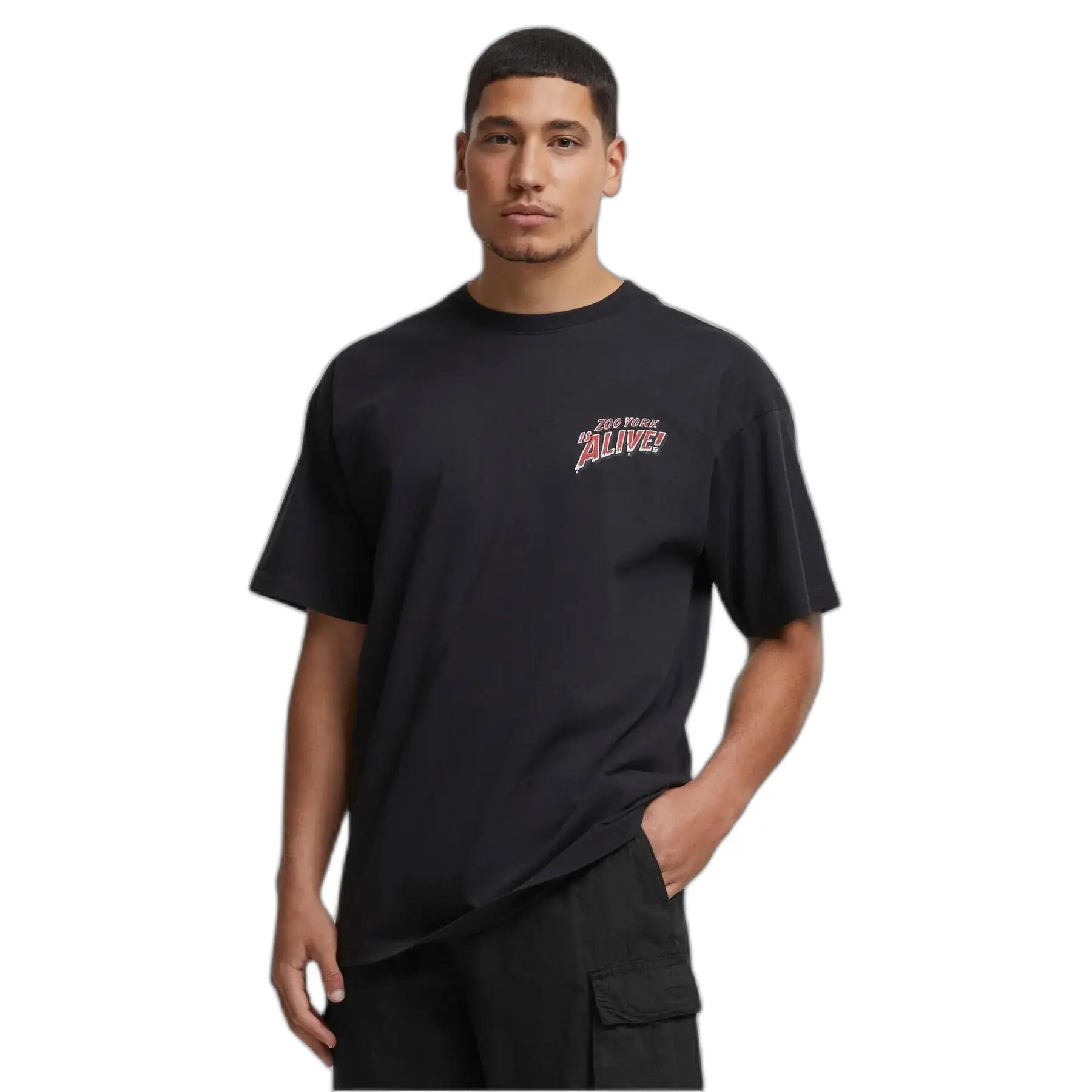 ZOO YORK picture