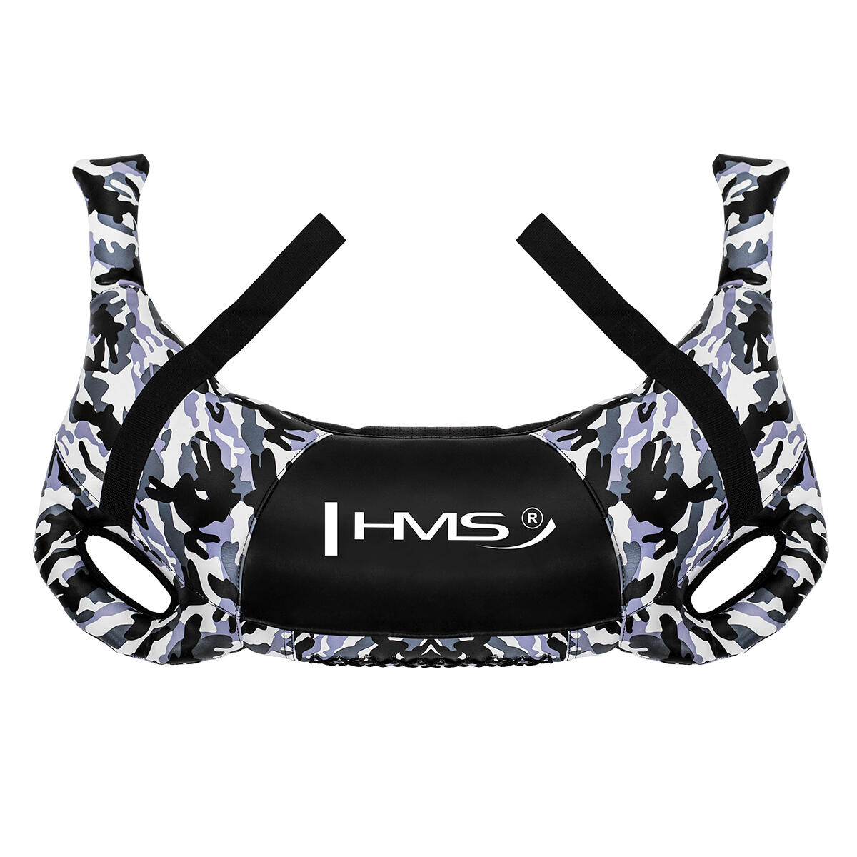 HMS picture