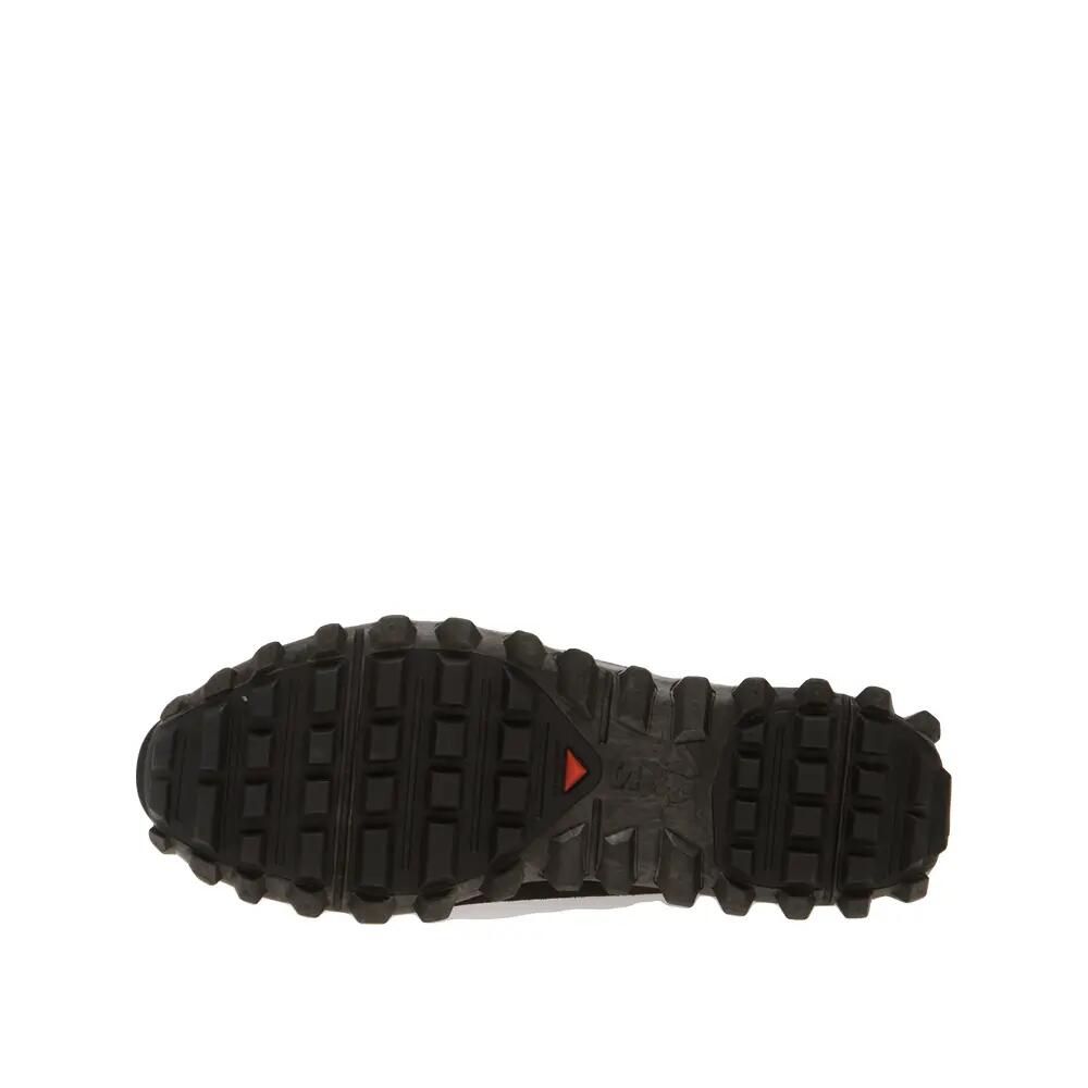 SALOMON picture