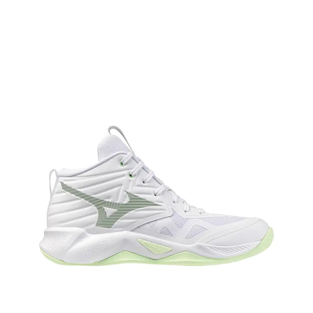 MIZUNO picture