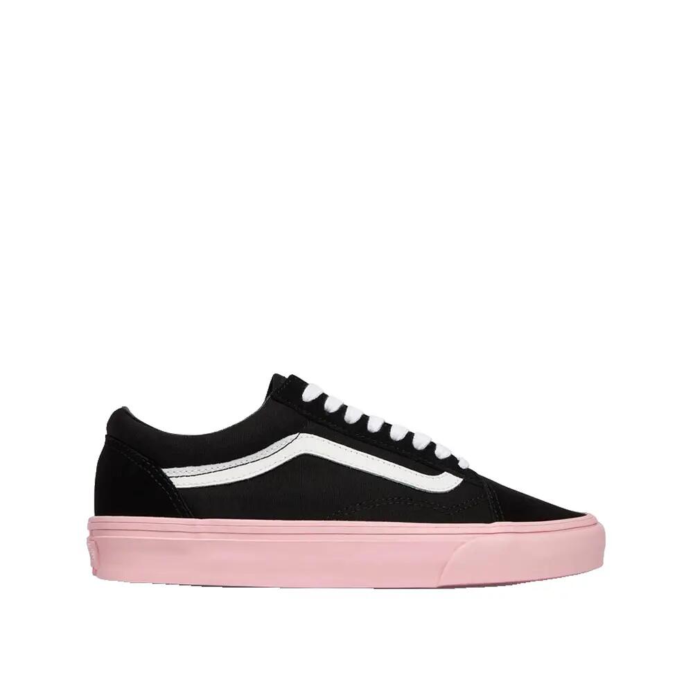 VANS picture