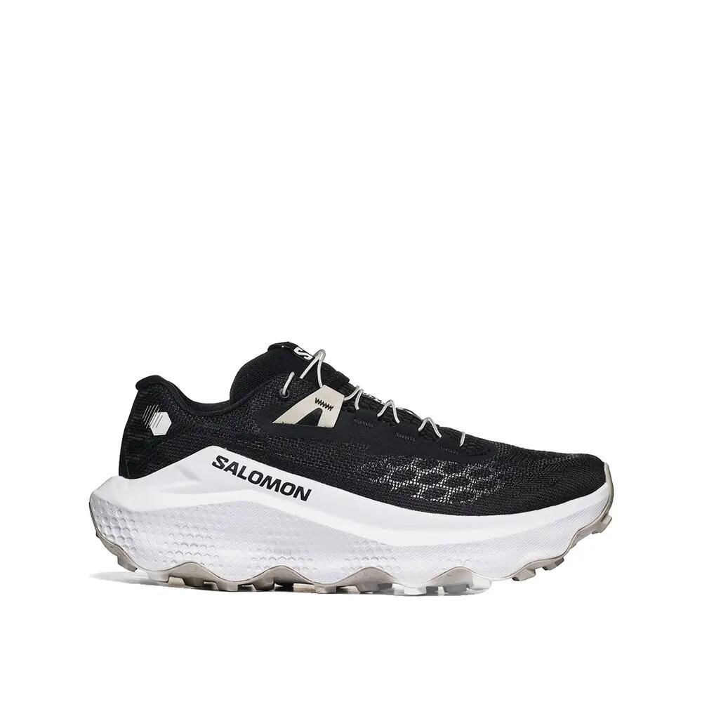 SALOMON picture