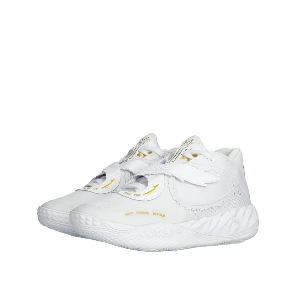 PUMA picture
