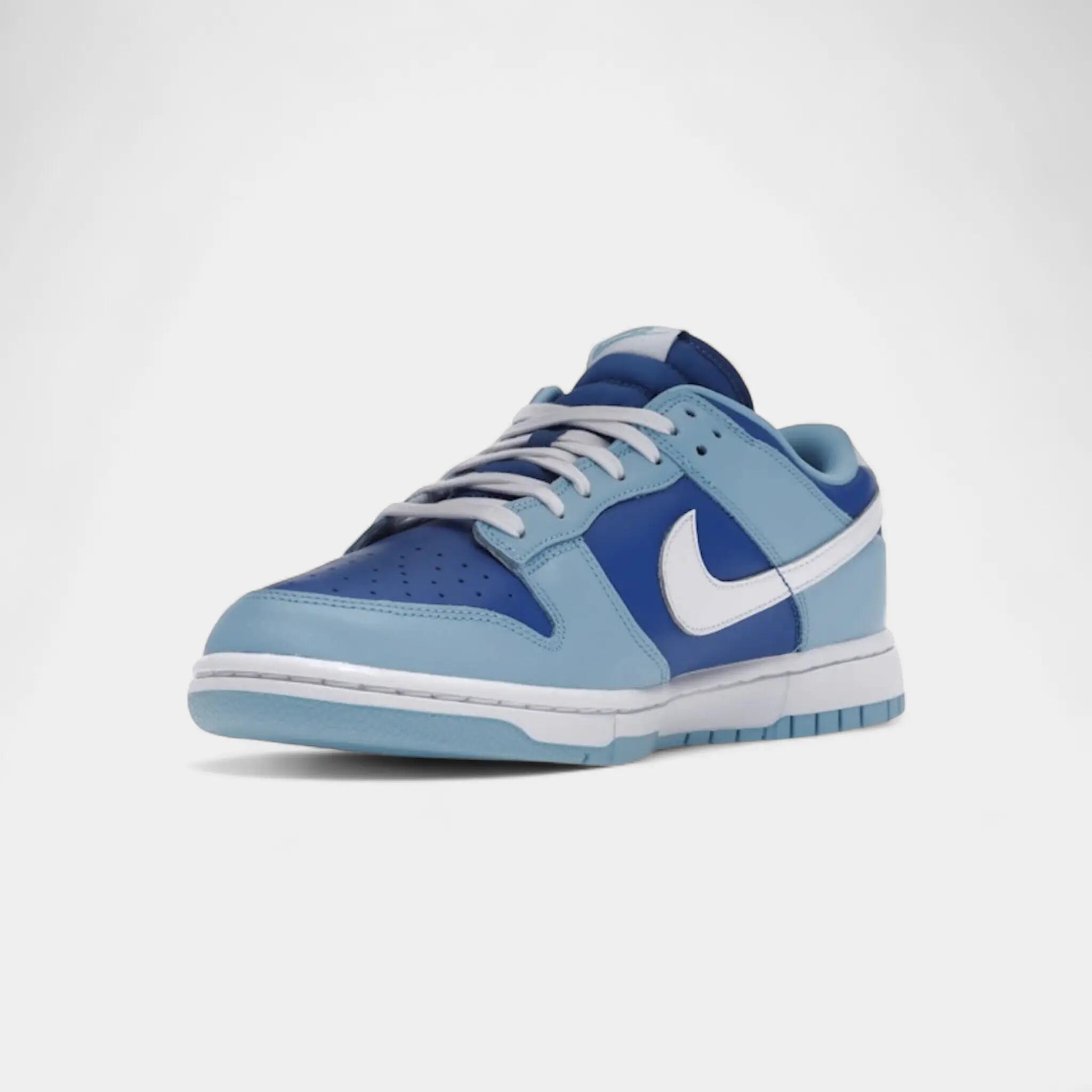 Nike Dunk Low Retro QS Argon (2022) 3/5
