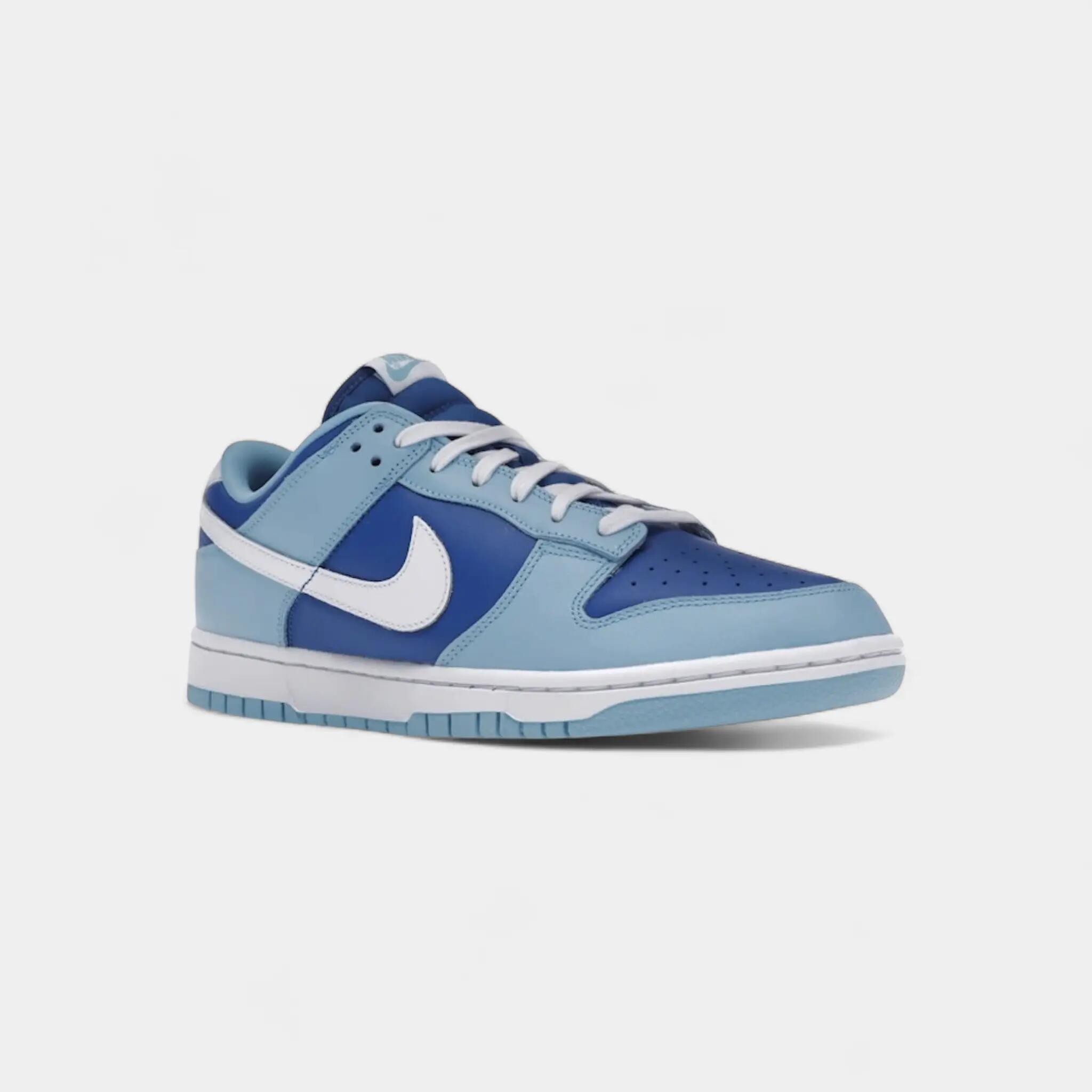 Nike Dunk Low Retro QS Argon (2022) 2/5