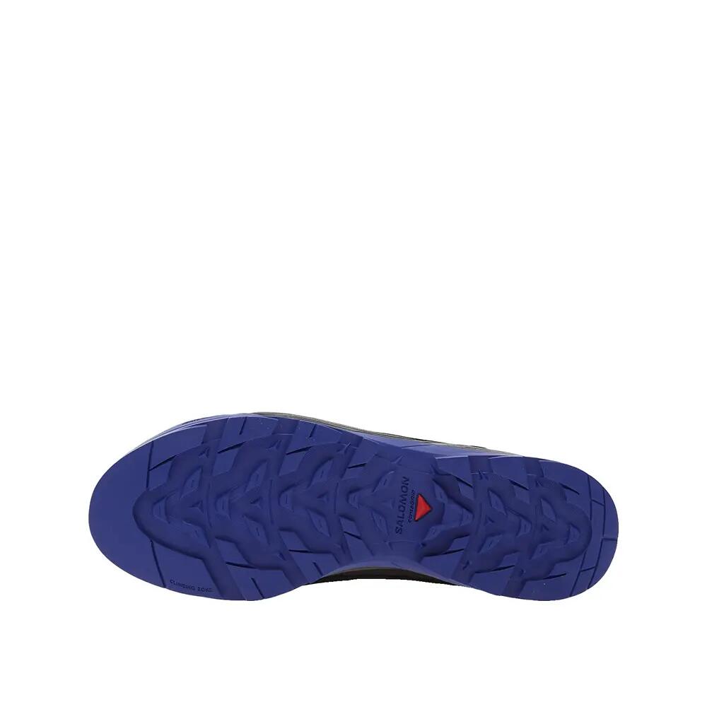 SALOMON picture