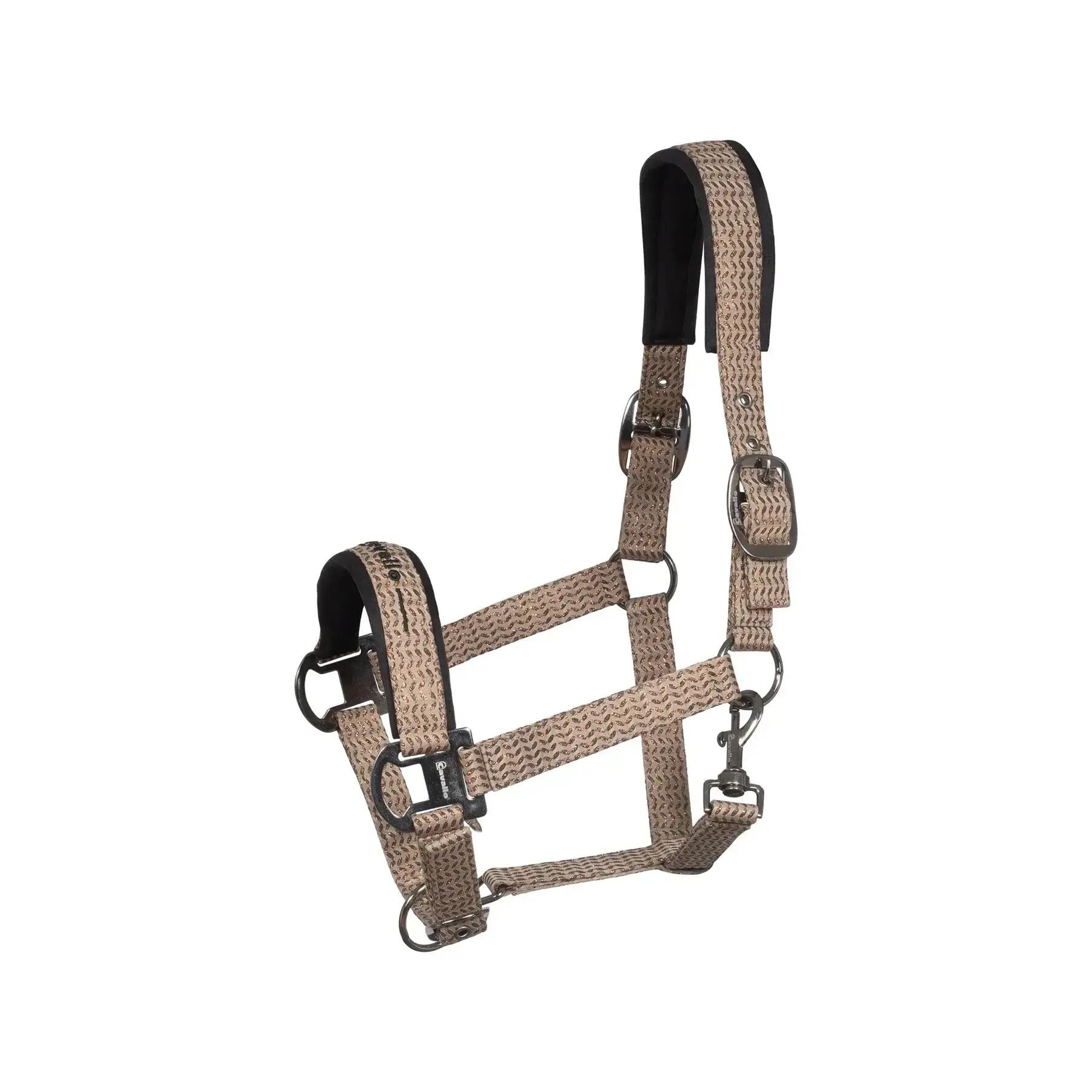 CAVALLO picture