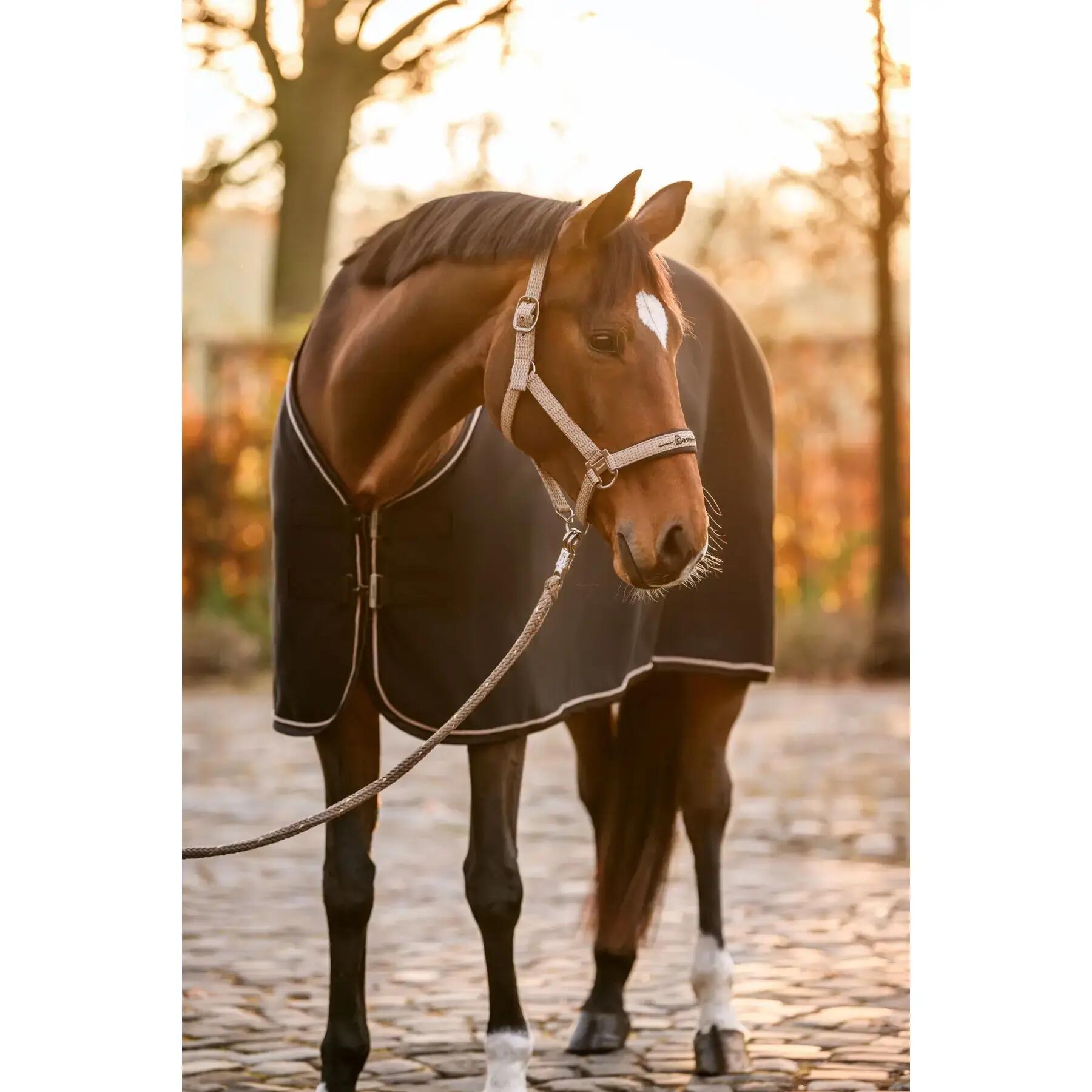 Cavezza Cavallo Rose 4/5