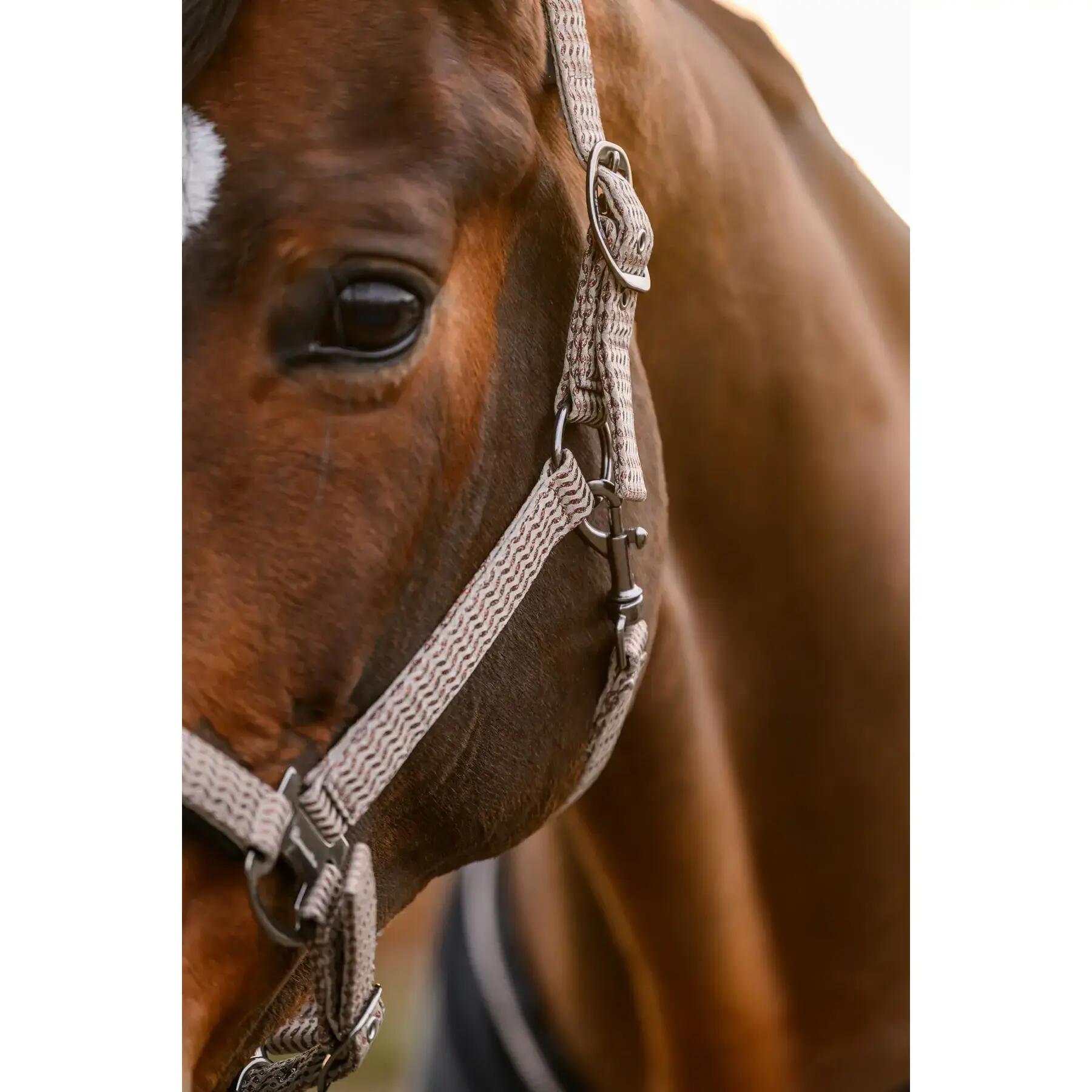 Cavezza Cavallo Rose 3/5