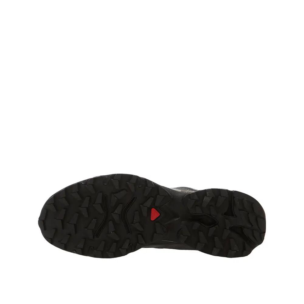 SALOMON picture