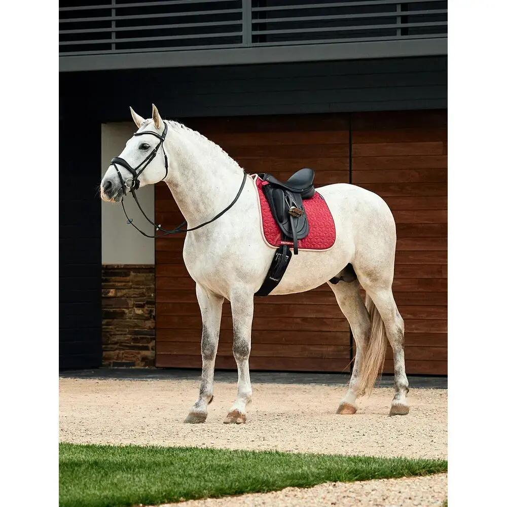 Tapis de dressage pour cheval Weatherbeeta Elite Air-Tec 5/5