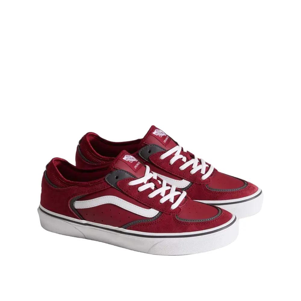 VANS picture