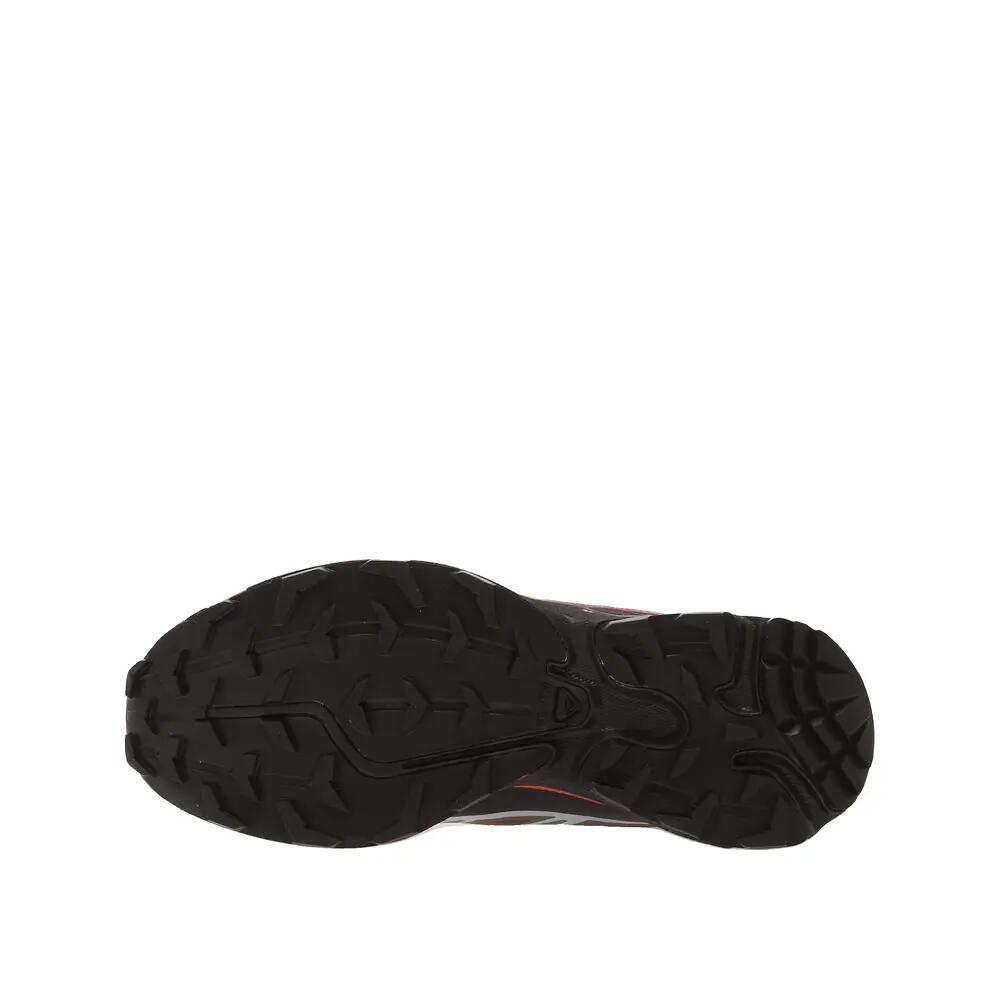 SALOMON picture