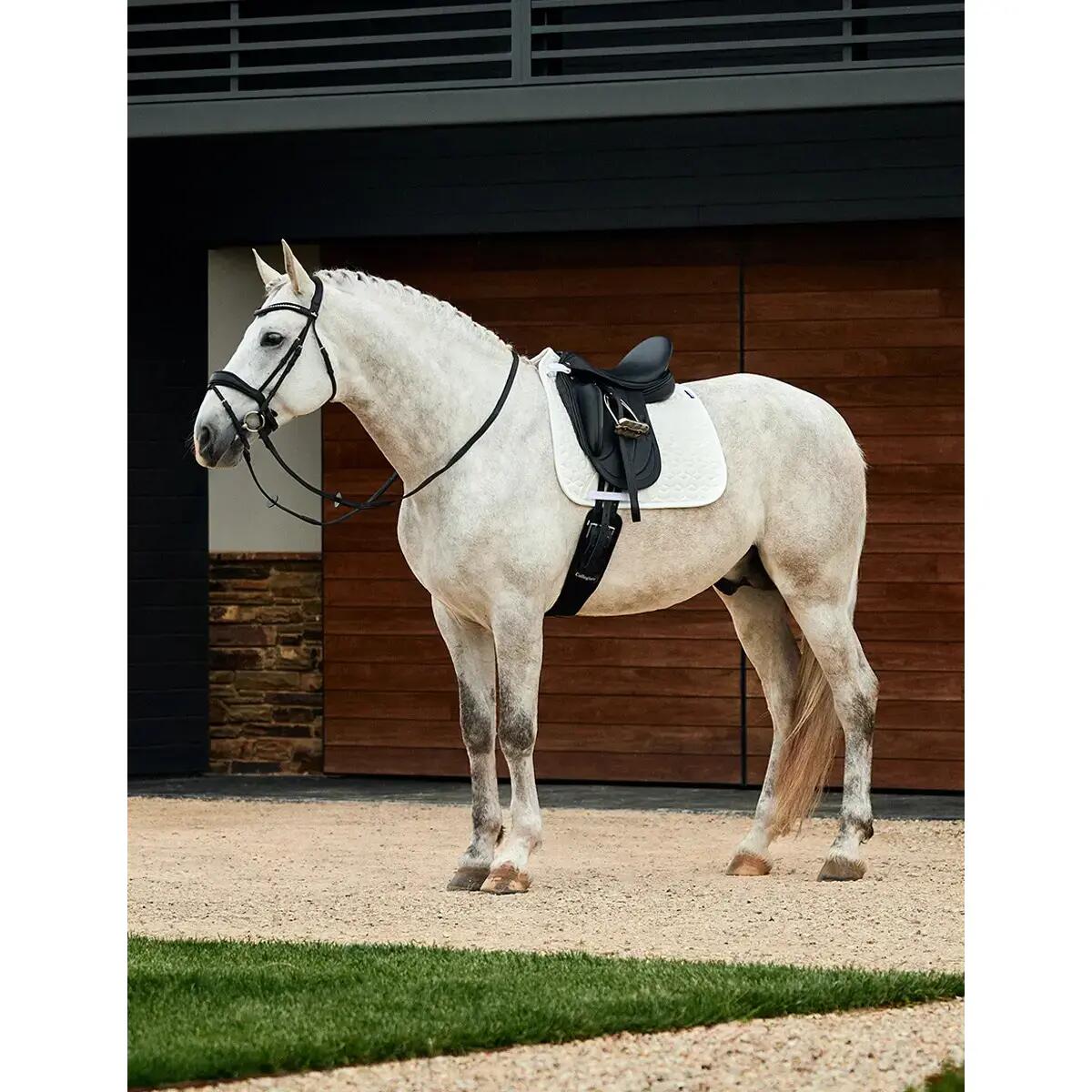 Tapis de dressage pour cheval Weatherbeeta Elite Air-Tec 5/5