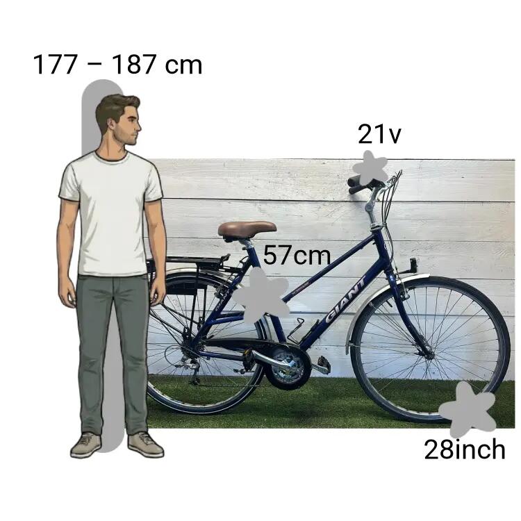 Vélo d’occasion Giant Freerider 2/4