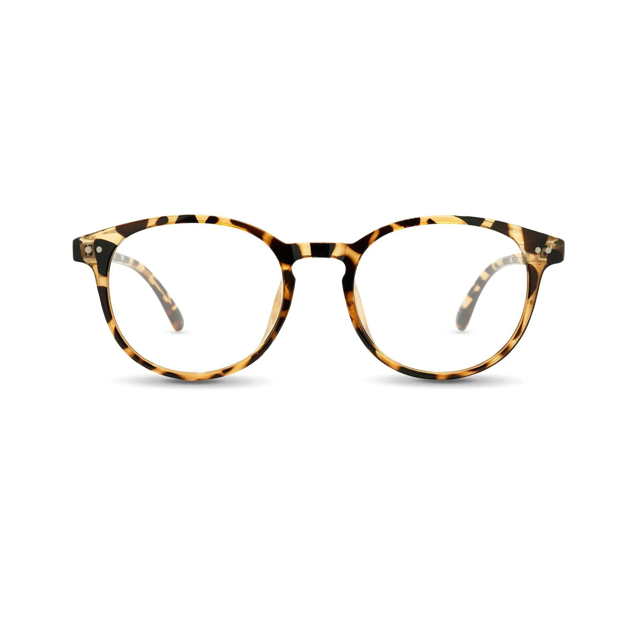 NECTAR SUNGLASSES picture