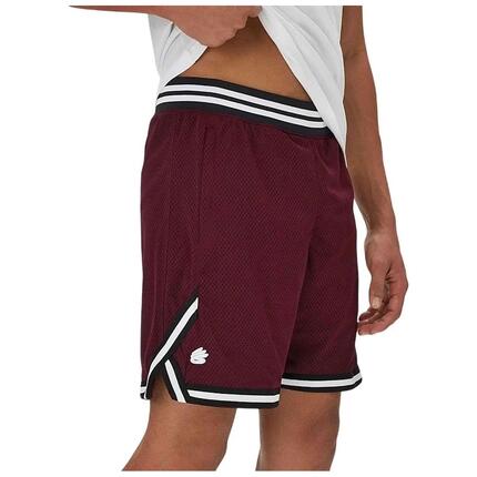 Korte broek Under Armour model Under Armour Men's Curry Mesh Shorts voor mannen