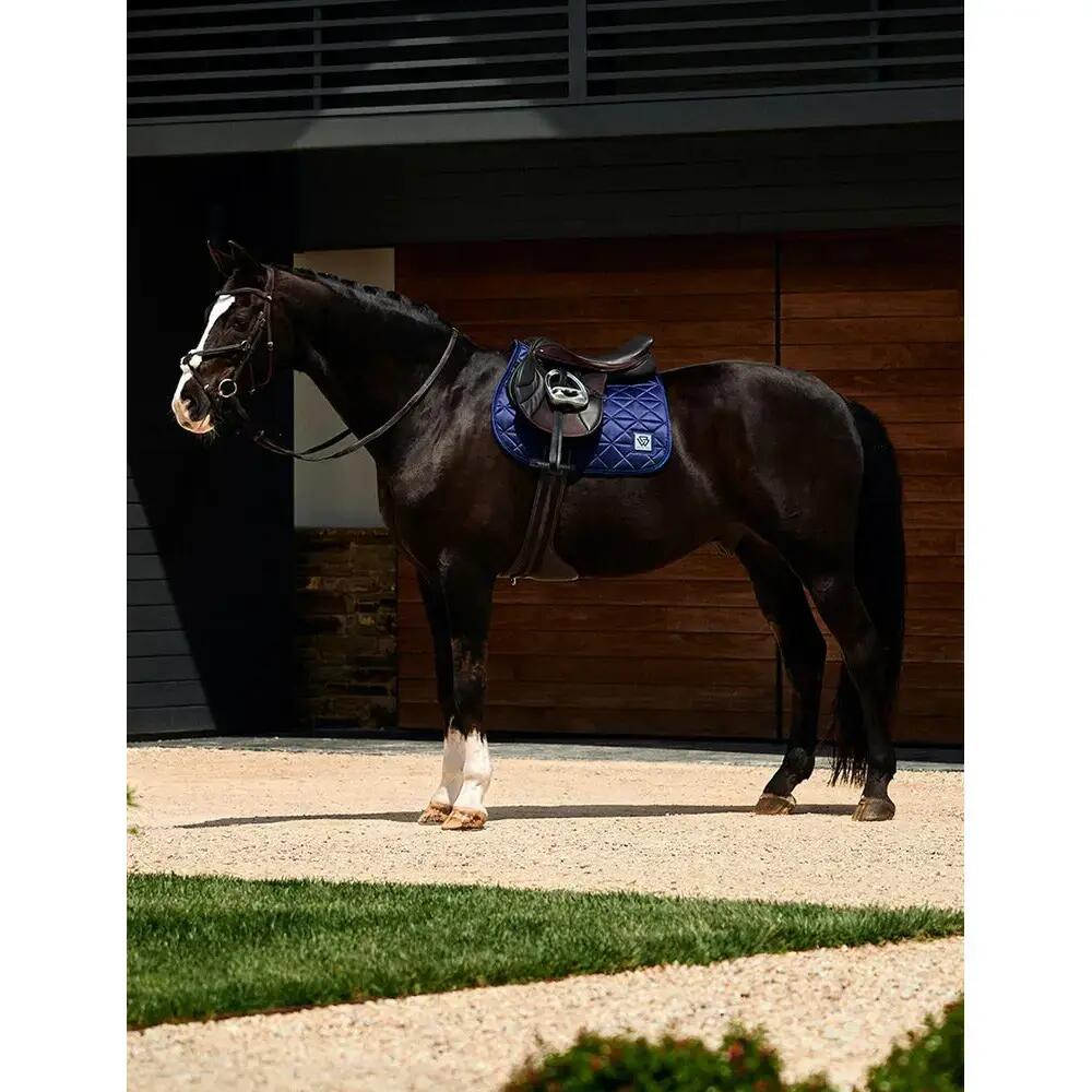 Tapis de CSO Weatherbeeta Air-Tec 5/5