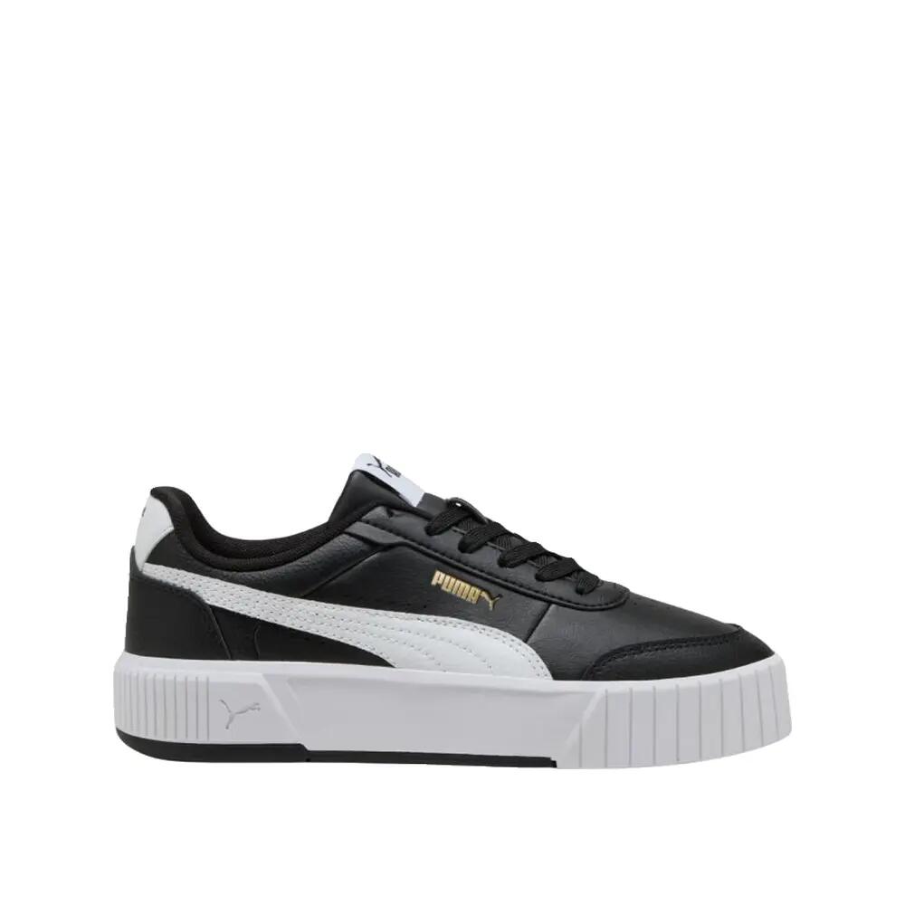 PUMA picture